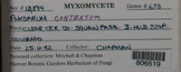 Image Associated With the Occurence